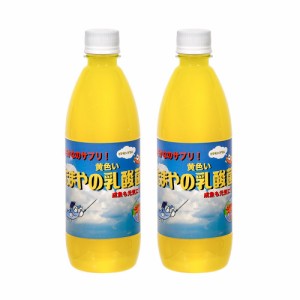 たまやメダカ　たまやの黄色い乳酸菌　５００ｍｌ　×２本　ビタミン入り　めだか　針子　日照不足　餌　エサ　ＰＳＢ　液体フード　水質