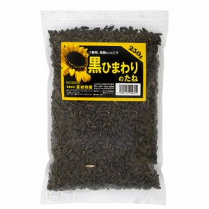 富城物産　黒ひまわりのたね　２５０ｇ　ハムスター　鳥