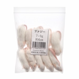 冷凍★ＳＰＦマウス　ファジーマウス（１０匹）（約６ｃｍ・７〜９ｇ）　冷凍マウス　高品質　別途クール手数料　常温商品同梱不可