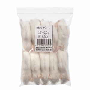 冷凍★ＳＰＦマウス　ホッパーＬマウス（１０匹）　（約７．５ｃｍ・１７〜２０ｇ）　冷凍マウス　高品質　別途クール手数料　常温商品同