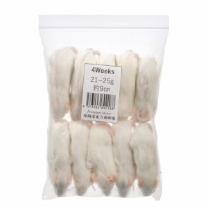 冷凍★ＳＰＦマウス　４Ｗｅｅｋｓマウス（１０匹）　（約９ｃｍ・２１〜２５ｇ）　冷凍マウス　高品質　別途クール手数料　常温商品同梱