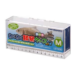 エーワン　わくわく観察ケース　Ｍ