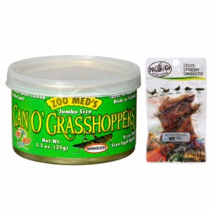 ＺＯＯＭＥＤ　カン・オー　グラスホッパー　ＣＡＮ　Ｏ　ＧＲＡＳＳＨＯＰＰＥＲＳ　３５ｇ＋プロバグズ　真空生昆虫　グラスホッパー　