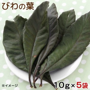 ５袋セット　国産　びわの葉　１０ｇ×５袋　小動物用のおやつ　国産　無添加　無着色 (ハムスター 餌)