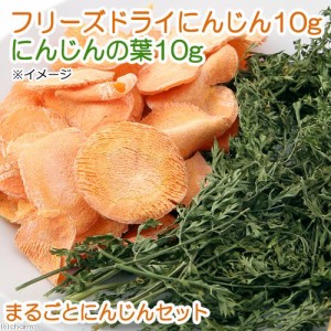 まるごと国産にんじんセット　フリーズドライにんじん１０ｇ　にんじんの葉１０ｇ　小動物用のおやつ　無添加　無着色 (ハムスター 餌)