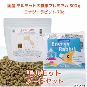 国産モルモットの食事プレミアム３００ｇ　エナジーラビット７０ｇ（５ｇ×１４本包入）セット