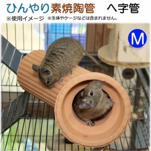 ひんやり素焼陶管　へ字管　Ｍ　小動物用　ハウス　トンネル (小動物 鳥かご)