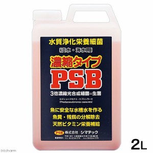 Psb メダカの通販 Au Pay マーケット