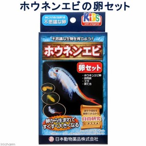 日本動物薬品　ニチドウ　ホウネンエビの卵セット