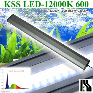 興和　ＫＳＳ　ＬＥＤ−１２０００Ｋ　６００　６０〜７５ｃｍ水槽用照明　ライト　熱帯魚　アクアリウムライト