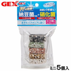 ＧＥＸ　ベストバイオブロック　Ｗミニ　５個入り