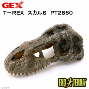 ＧＥＸ　エキゾテラ　Ｔ−ＲＥＸ　スカルＳ　ＰＴ２８６０　爬虫類　レイアウト　置物