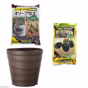 オリーブ栽培セット　花ごころ　オリーブの土＋オリーブの肥料＋アップルウェアー　クラフトポット　３０型　ダークブラウン　お一人様５