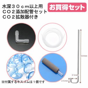 水深３０ｃｍ以上用ＣＯ２添加配管セット　ＣＯ２拡散器付き