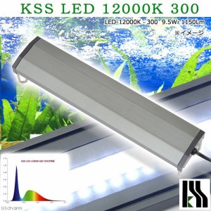 興和　ＫＳＳ　ＬＥＤ　１２０００Ｋ　３００　３０〜４５ｃｍ水槽用照明　ライト　熱帯魚　アクアリウムライト