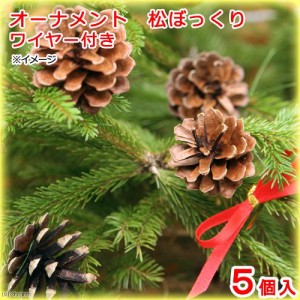 オーナメント　松ぼっくり　ワイヤー付き　５個　クリスマス