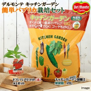 （観葉植物）私の菜園　デルモンテ　キッチンガーデン　簡単パプリカ栽培セット（ビバ・パプリコット　赤）（１セット）　家庭菜園