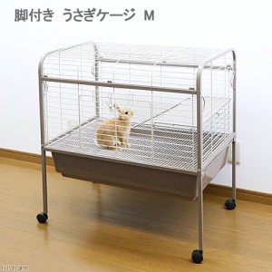 アウトレット品　脚付き　うさぎケージ　Ｍ（８２．４×５４．９×８３．５ｃｍ）　組立確認済　うさぎ　モルモット　１８０サイズ (小動