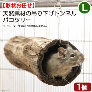 小動物　おもちゃ　天然素材の吊り下げトンネル　パコツリー（シダの木）　Ｌサイズ　ハムスター　シマリス　デグー　モモンガ