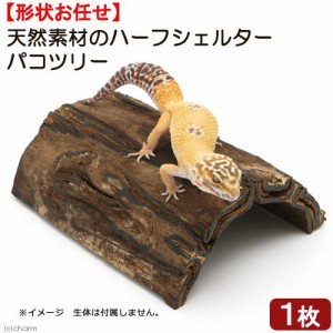 爬虫類　シェルター　天然素材のハーフシェルター（パコツリー）　両生類　トカゲ　ヤモリ　隠れ家