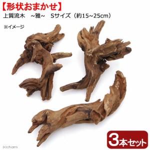 形状お任せ　煮込み済み　上質流木　雅〜みやび〜　Ｓサイズ（約１５〜２５ｃｍ）　３本　レイアウト素材　流木