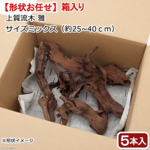 形状お任せ　煮込み済み　上質流木　雅　サイズミックス（約２５〜４０ｃｍ）　５本　アクアリウム　レイアウト素材　流木