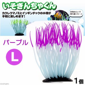 カミハタ　いそぎんちゃくん　Ｌ　パープル　水槽用オブジェ　アクアリウム用品