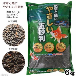 カミハタ　水草と魚にやさしい玉砂利　６ｋｇ　お一人様３点限り