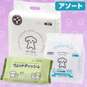 ワイド薄型１００枚　＋お散歩マナー　うんち処理袋１００枚　＋ウェットティッシュ１袋　お一人様１点限り ペットシーツ(犬 猫 小動物 