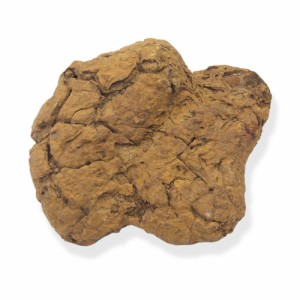 形状お任せ　裂甲石　Ｌサイズ（約１５〜２０ｃｍ）　１個　レイアウト素材　爬虫類