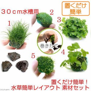 （水草）置くだけ簡単　３０ｃｍ水槽用　水草簡単レイアウト　素材セット（水中葉）　本州四国限定