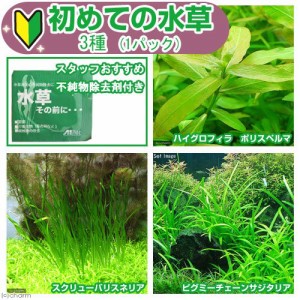 （水草）初めての水草　３種（１パック）＋水草その前に　１ｇ（２Ｌ用）説明書付　本州四国限定