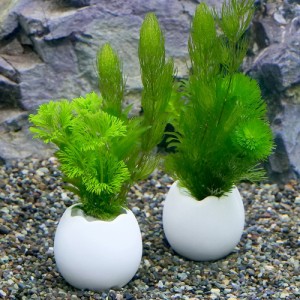 （水草）エッグプランター　メダカ・金魚藻　金魚藻ミックス（１個）