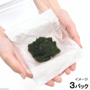 （水草）巻き用セイヨウマリモ　バラ（無農薬）（３パック）