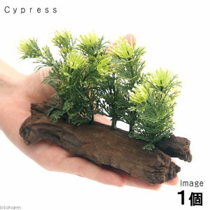 アーティフィシャルプランツ（人工水草）流木付　Ｃｙｐｒｅｓｓ（１個）