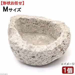 形状お任せ　フィリピン溶岩石鉢　Ｍサイズ（１個）