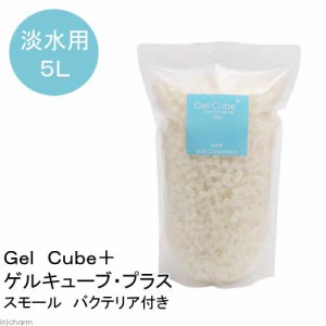 （熱帯魚）Ｇｅｌ　Ｃｕｂｅ＋（ゲルキューブ・プラス）　バクテリア付き　スモール　５リットル　北海道・九州航空便要保温