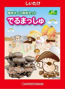 （観葉植物）きのこ栽培キット　でるまっしゅ　しいたけ（１個）　家庭菜園