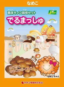 （観葉植物）きのこ栽培キット　でるまっしゅ　なめこ（１個）　家庭菜園