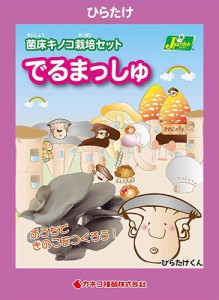 （観葉植物）きのこ栽培キット　でるまっしゅ　ひらたけ（１個）　家庭菜園