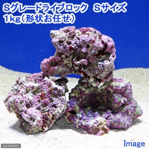 （海水魚）Ｓグレードライブロック　Ｓサイズ（１ｋｇ）（形状お任せ）