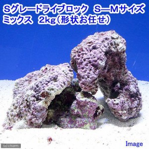 （海水魚）Ｓグレードライブロック　Ｓ−Ｍサイズミックス（２ｋｇ）（形状お任せ）