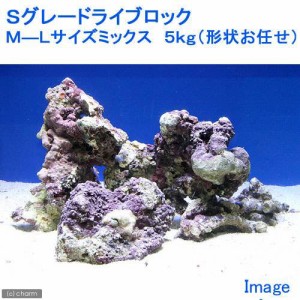 （海水魚）Ｓグレードライブロック　Ｍ−Ｌサイズミックス（５ｋｇ）（形状お任せ）