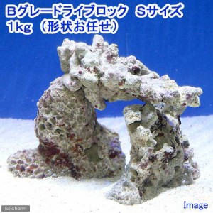 （海水魚）Ｂグレードライブロック　Ｓサイズ（１ｋｇ）（形状お任せ）