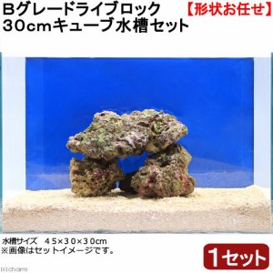 （海水魚）Ｂグレードライブロック　３０ｃｍキューブ水槽用　（１セット）（形状お任せ）