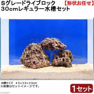 （海水魚）Ｓグレードライブロック　３０ｃｍキューブ水槽用（１セット）（形状お任せ）