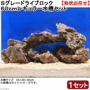 （海水魚）Ｓグレードライブロック　６０ｃｍレギュラー水槽用（１セット）（形状お任せ）