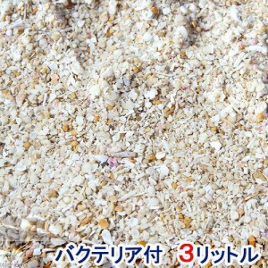 （海水魚）バクテリア付き　ライブアラゴナイトサンド（約３Ｌ）　海水水槽用底砂　航空便不可　沖縄不可