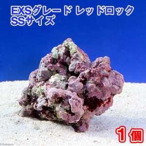 （海水魚）ライブロック　ＥＸＳグレード　レッドロック　ＳＳサイズ（１個）（形状お任せ）