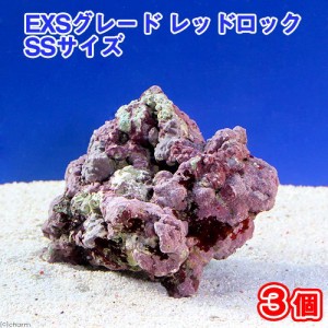 （海水魚）ライブロック　ＥＸＳグレード　レッドロック　ＳＳサイズ（３個）（形状お任せ）